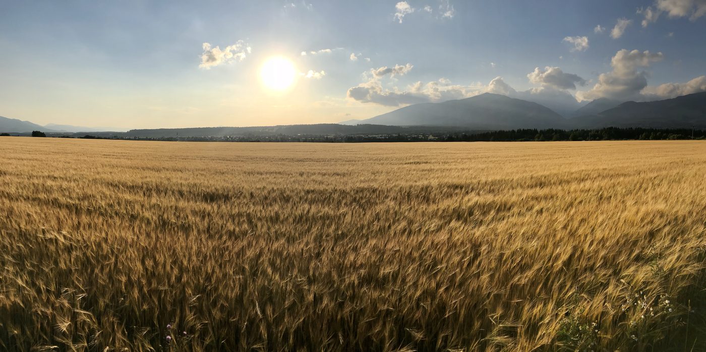 Lúky pod Tatrami